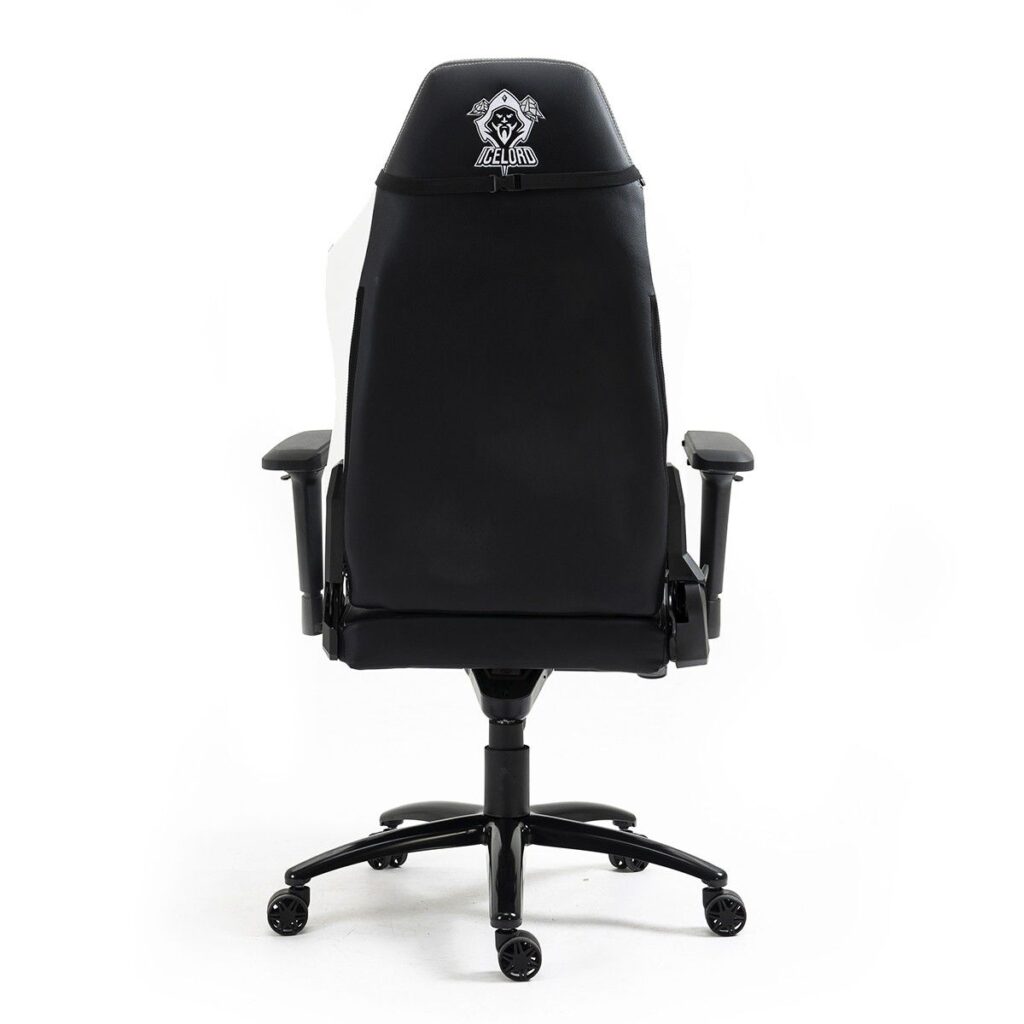 WhatsApp Image 2026-02-12 at 09.48.02 (4)