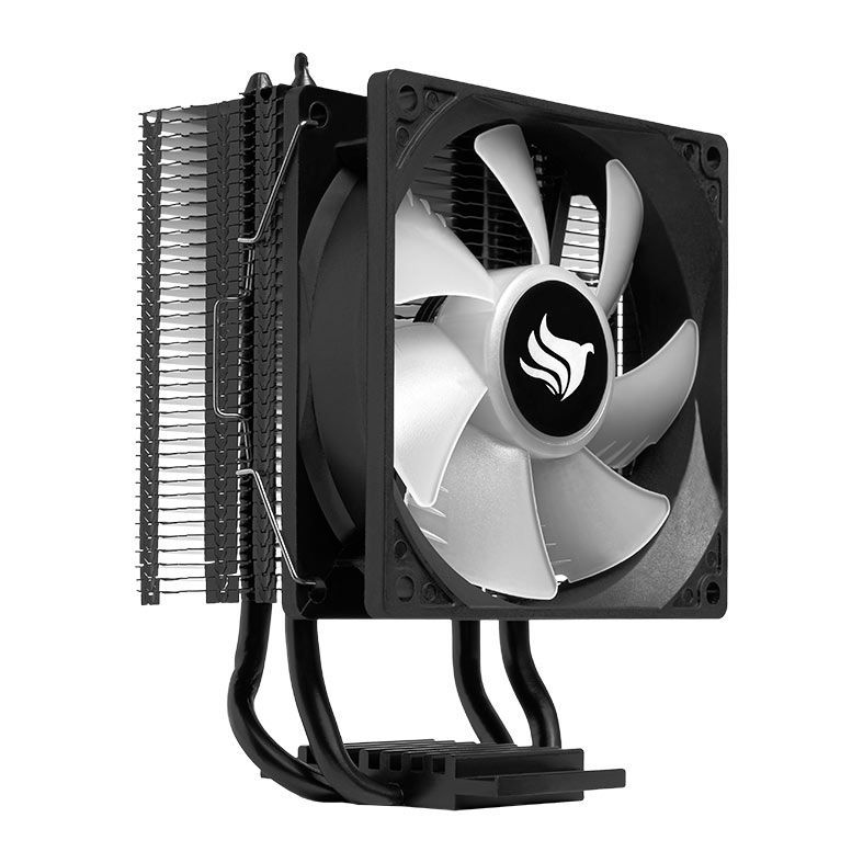 WhatsApp Image 2026-02-12 at 10.01.18 (2)