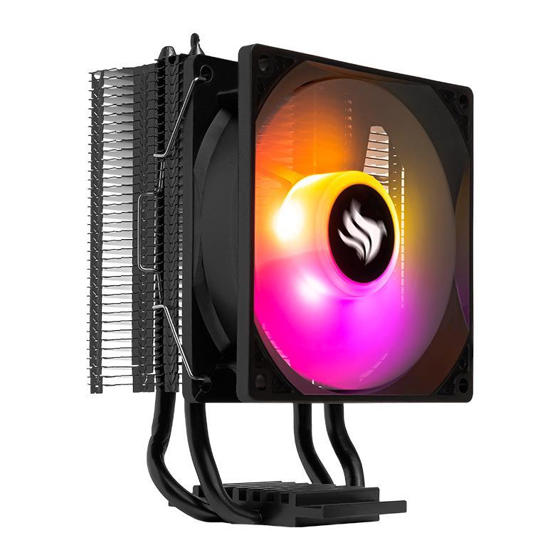 WhatsApp Image 2026-02-12 at 10.01.18